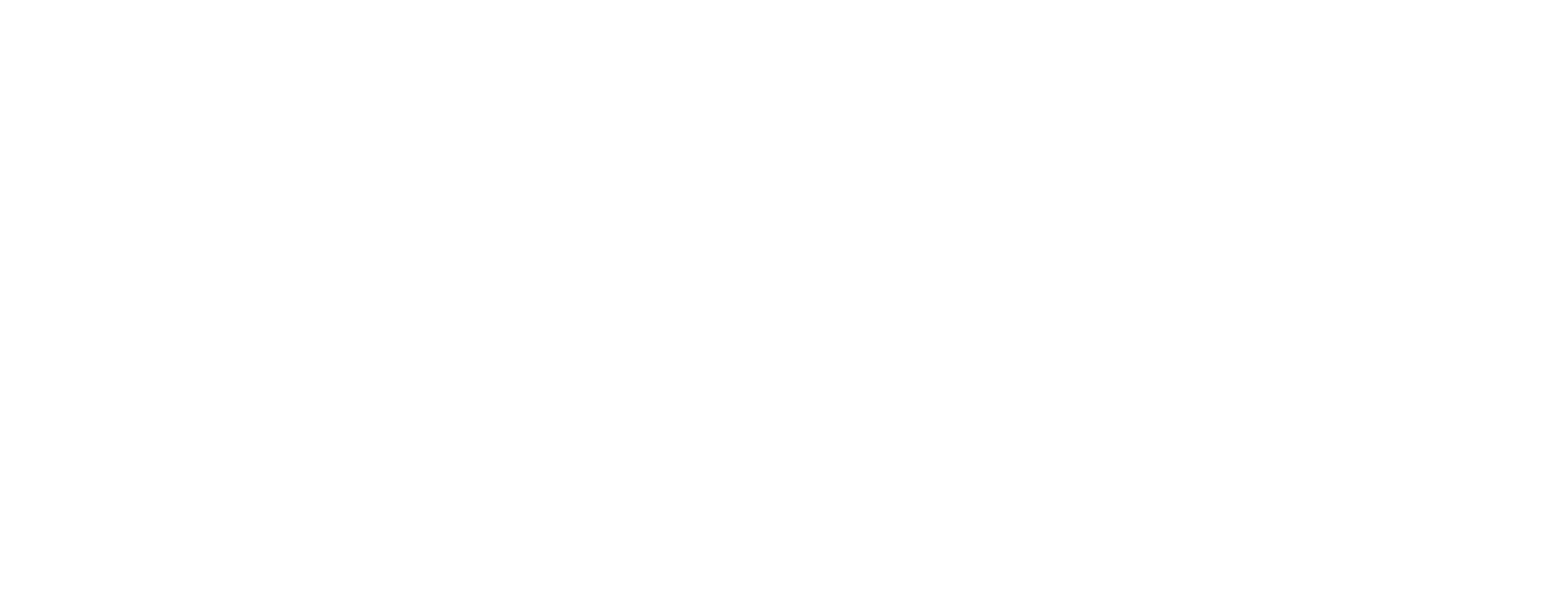 We give strategy the human edge ™